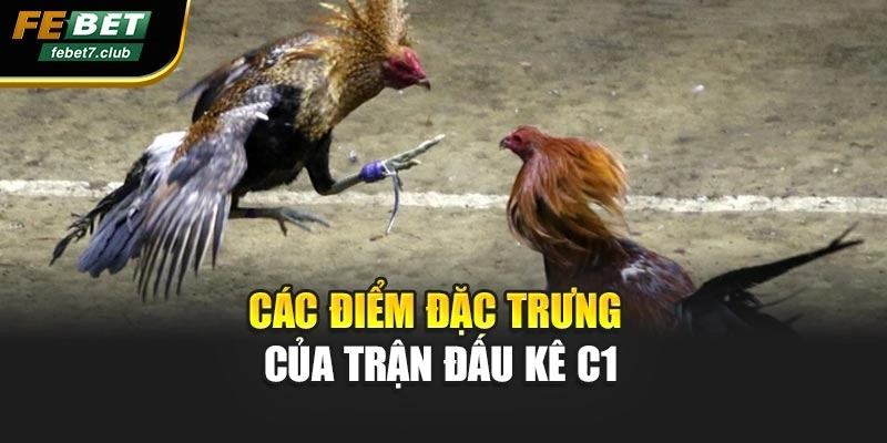 Các điểm đặc trưng của trận đấu kê c1