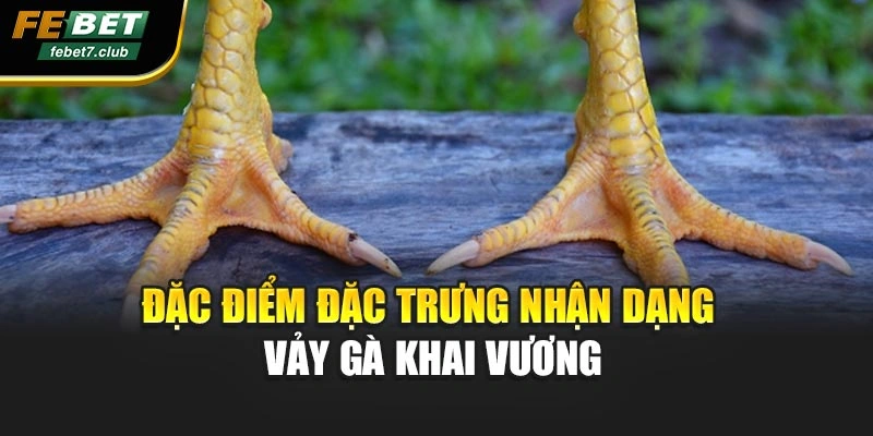 Đặc điểm đặc trưng nhận dạng vảy gà khai vương