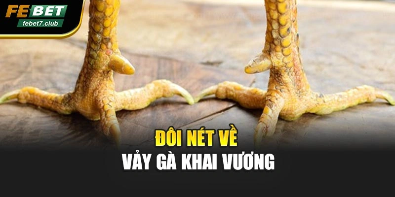 Đôi nét về vảy gà khai vương